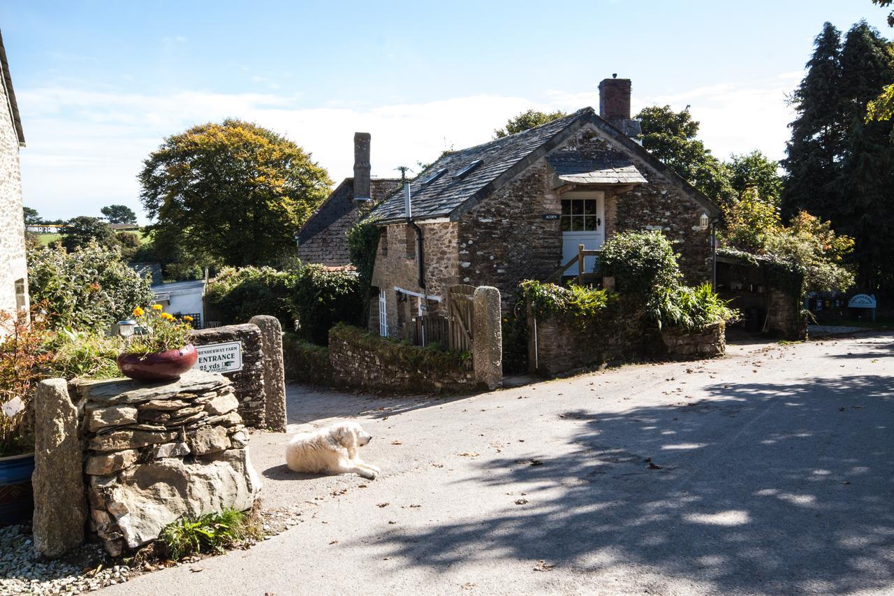 Bed and Breakfast Trenderway Farm à Looe Extérieur photo