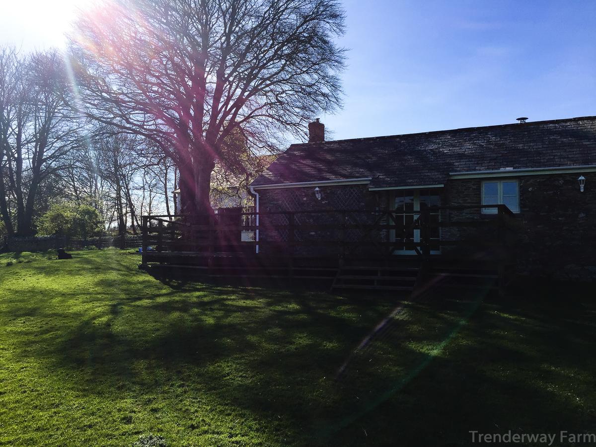 Bed and Breakfast Trenderway Farm à Looe Extérieur photo
