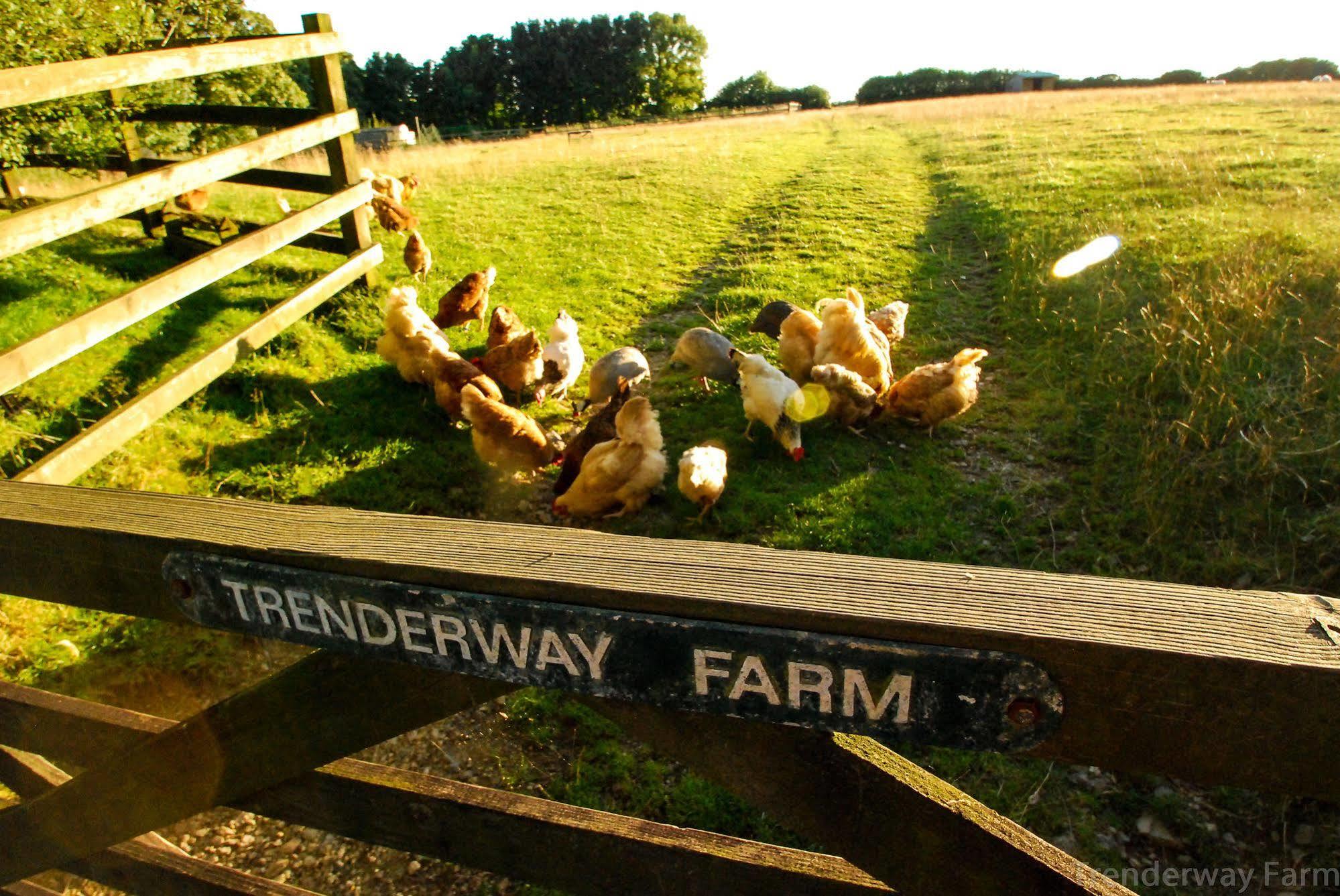 Bed and Breakfast Trenderway Farm à Looe Extérieur photo